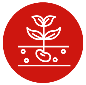 Seed, Seed Cultivation Equipment & Technology