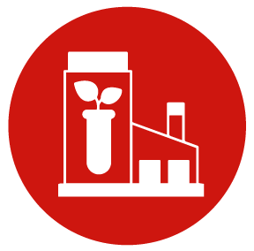 Plant Production